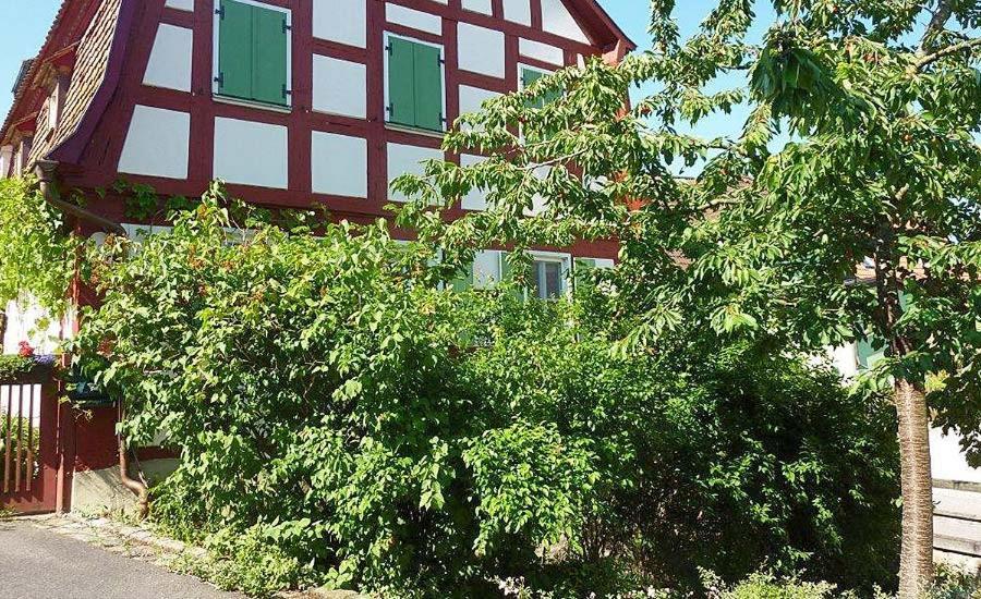 Lejlighed Graefin Von Paris - Mit Saunanutzung